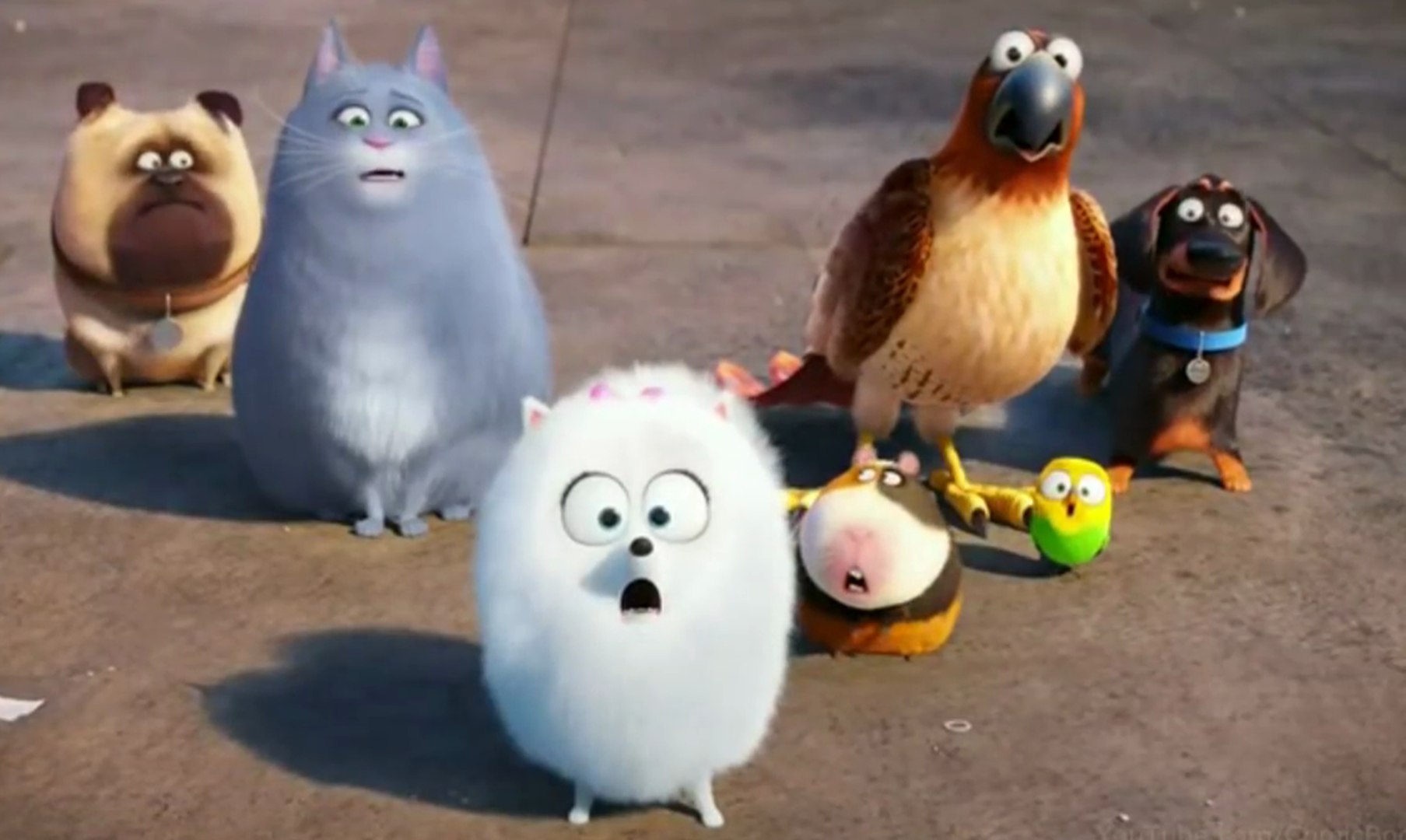 ⁣The Secret Life of Pets - TV Spot Imagine (English) HD