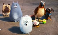 The Secret Life of Pets - TV Spot Imagine (English) HD