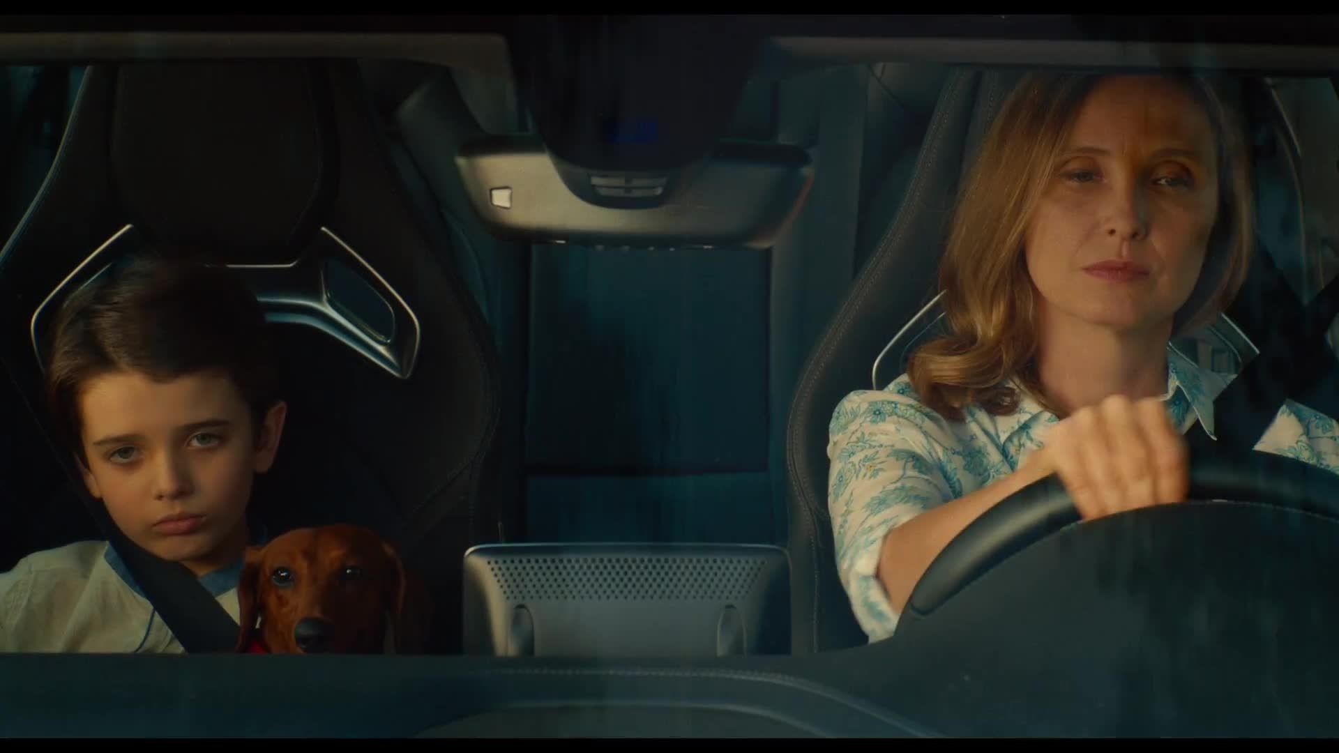 ⁣Wiener-Dog - Clip Dog is a Dog (English) HD