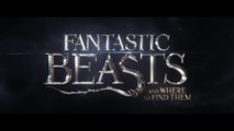 Fantastic Beasts and Where to Find Them - Featurette Wand Training (English) HD