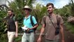 La Réunion : L'envol du papangue