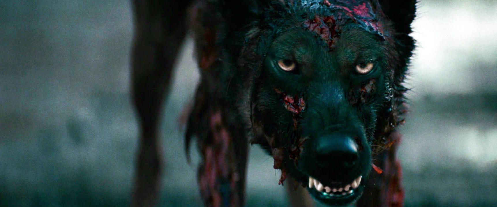 Cabin Fever The New Outbreak - Trailer (Deutsch) HD