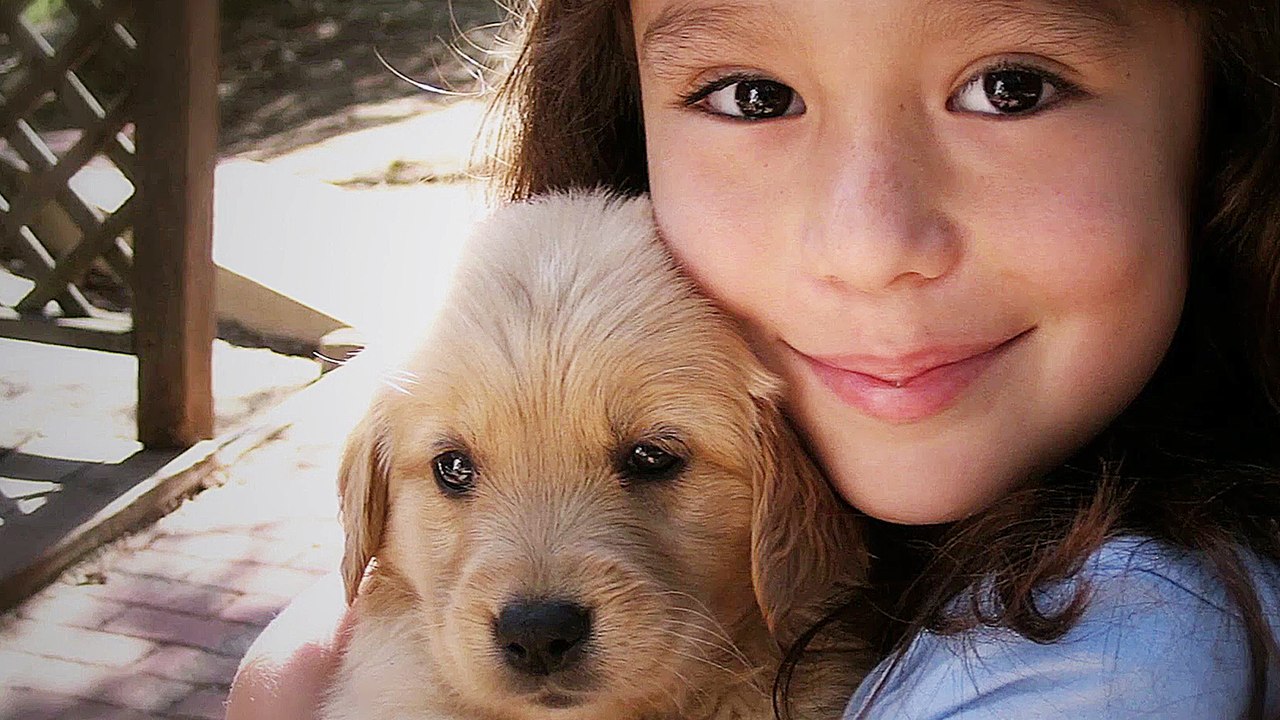 Audrie & Daisy - Trailer (Deutsch) HD