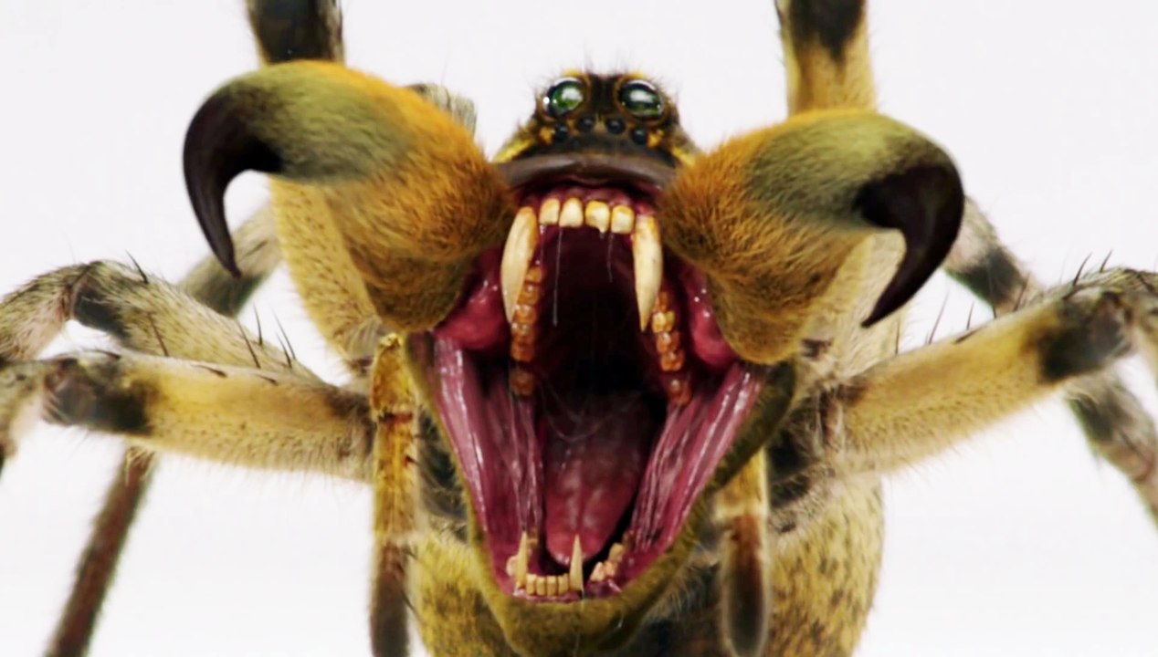 American Horror Story - S06 Teaser Trailer Bite Me (English) HD