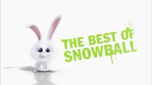 The Secret Life of Pets - Clip The Best Of Snowball (English) HD