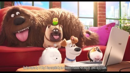 The Secret Life of Pets - Clip World's Funniest Cat Videos (English) HD