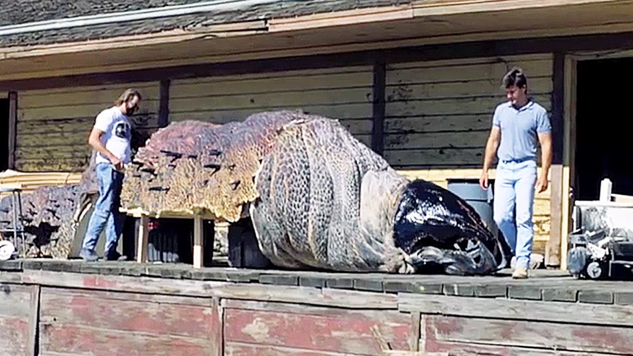 Tremors - Featurette Revisited Alec Gillis BTS (English) HD
