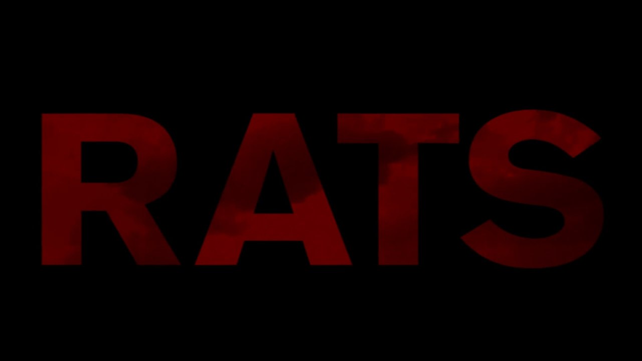 Rats - Clip Sniffing Out Rats (English) HD