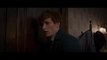 Fantastic Beasts and Where to Find Them - Clip Pie or Studel (English) HD