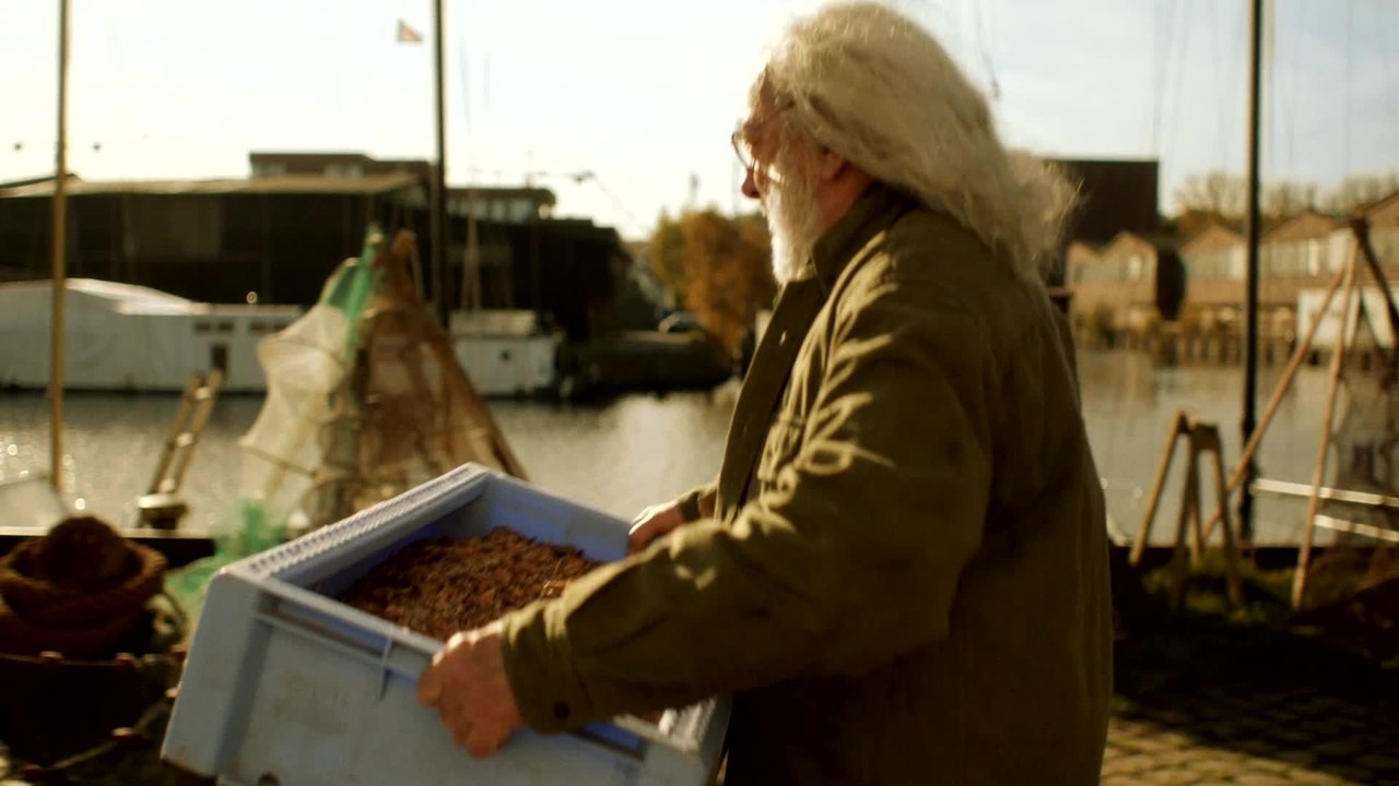 Ostfriesisch fÃ¼r AnfÃ¤nger - Clip 04 (Deutsch) HD