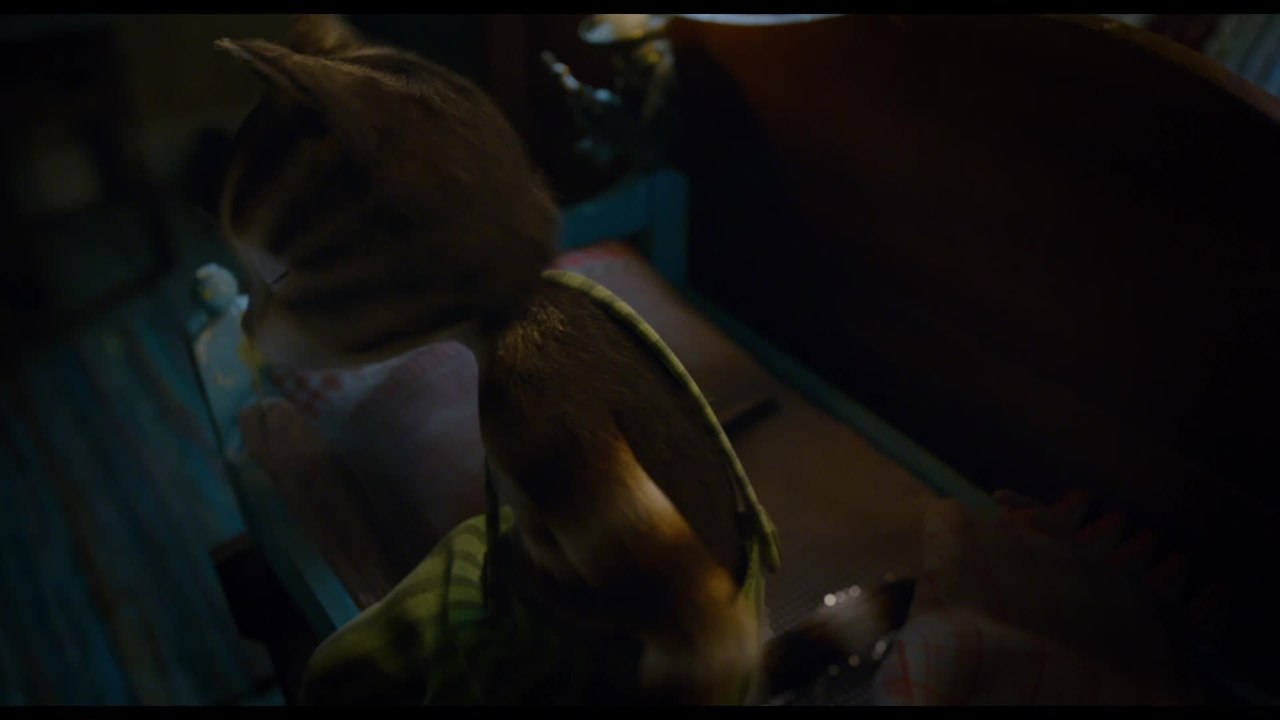 Pettersson und Findus 2 - Clip 03 (Deutsch) HD