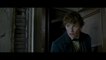 Fantastic Beasts and Where to Find Them - Clip Just a Smidge (English) HD