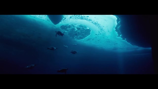 Jacques Entdecker der Ozeane - Clip Jacques erkennt Not zu Handeln (Deutsch) HD