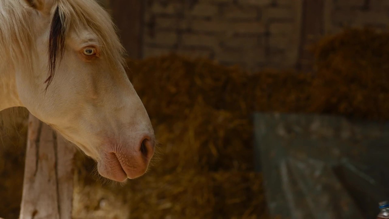 Wendy - Clip Wendy tauft Dixie (Deutsch) HD