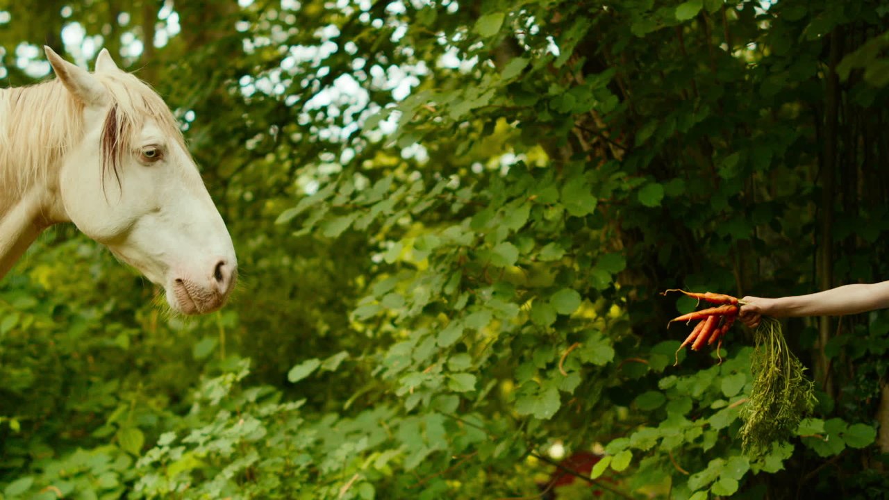 Wendy Der Film - Clip Freundschaft (Deutsch) HD