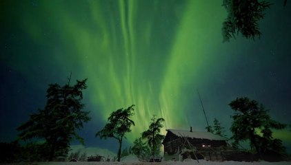 24 Snow - Trailer (OV) HD