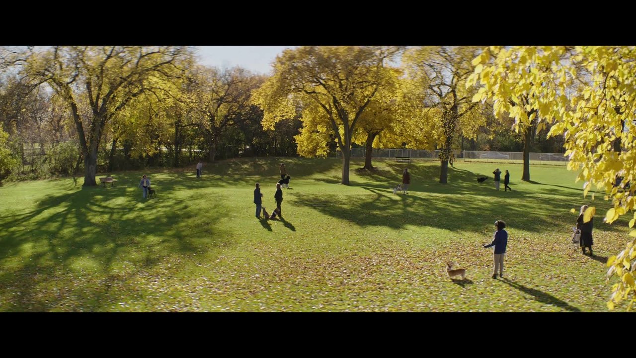 Bailey Ein Freund fÃ¼rs Leben - Clip 5 (Deutsch) HD