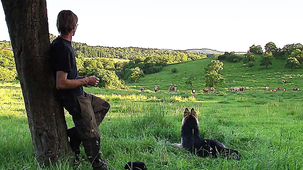 We feed people - Trailer (Deutsch) HD