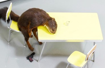 Maurizio Cattelan: be right back - Trailer (English) HD