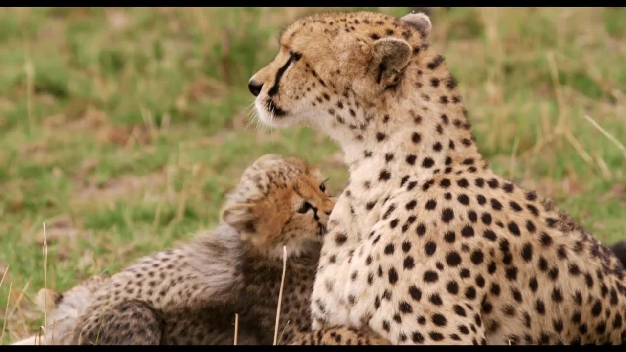 Maleika - Clip 05 (Deutsch) HD