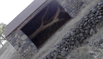 Leaning into the Wind - Trailer (English) HD