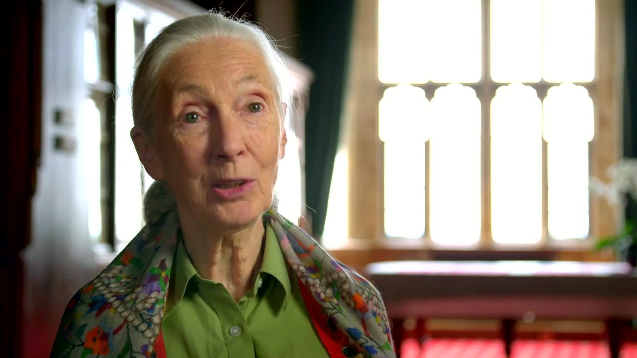 Code of Survival - Clip 10 (Deutsch) HD