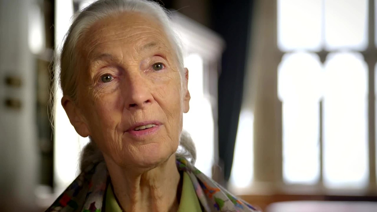 Code of Survival - Clip 02 (Deutsch) HD