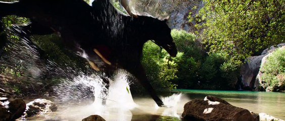 Ostwind 3 - Trailer (Deutsch) HD