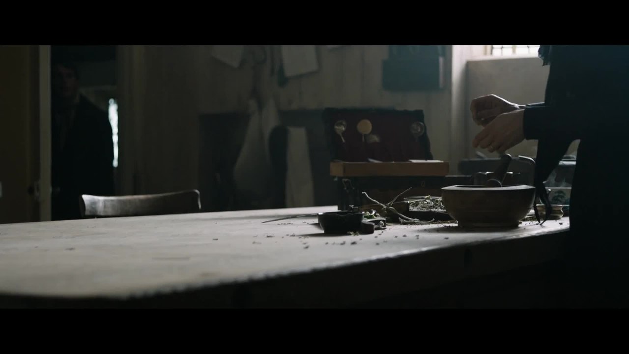 My Cousin Rachel - Clip Making Tisane (English) HD