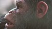 Planet der Affen Survival - Trailer 4 (Deutsch) HD