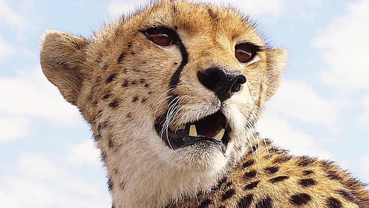 Maleika - Trailer (Deutsch) HD