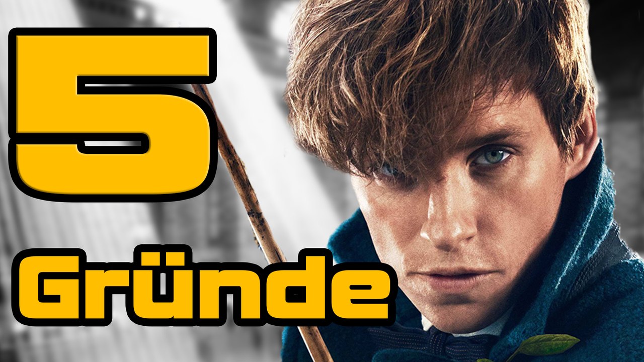 Warum ihr euch Phantastische Tierwesen und wo sie zu finden sind anschauen solltet!