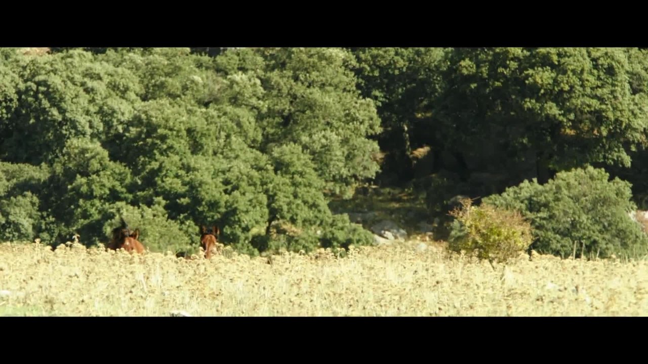 Ostwind 3 - Featurette Die Geschichte (Deutsch) HD