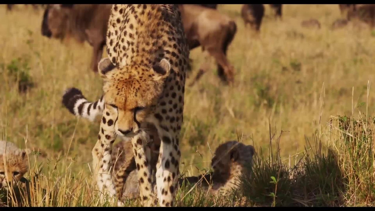 Maleika - Clip 02 (Deutsch) HD