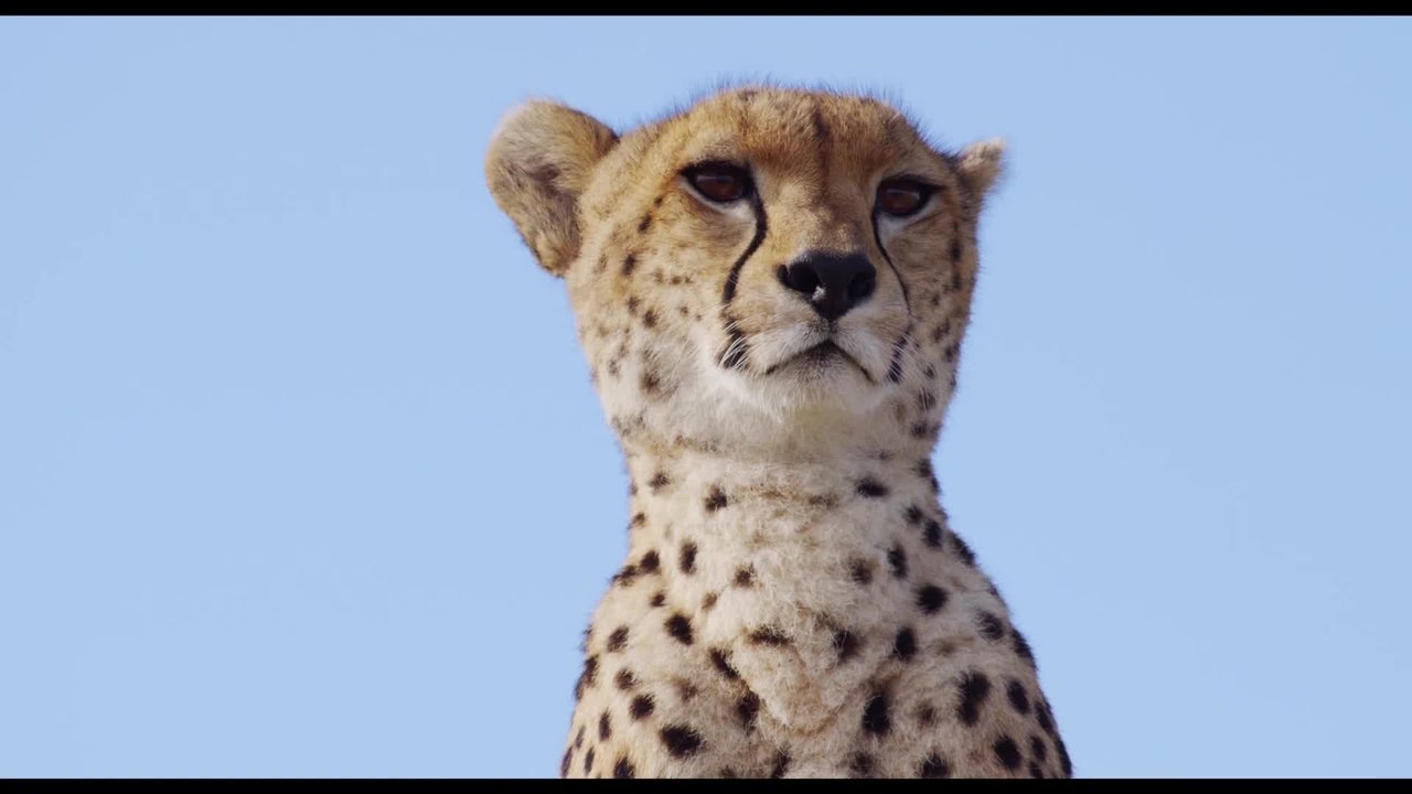 Maleika - Clip 06 (Deutsch) HD