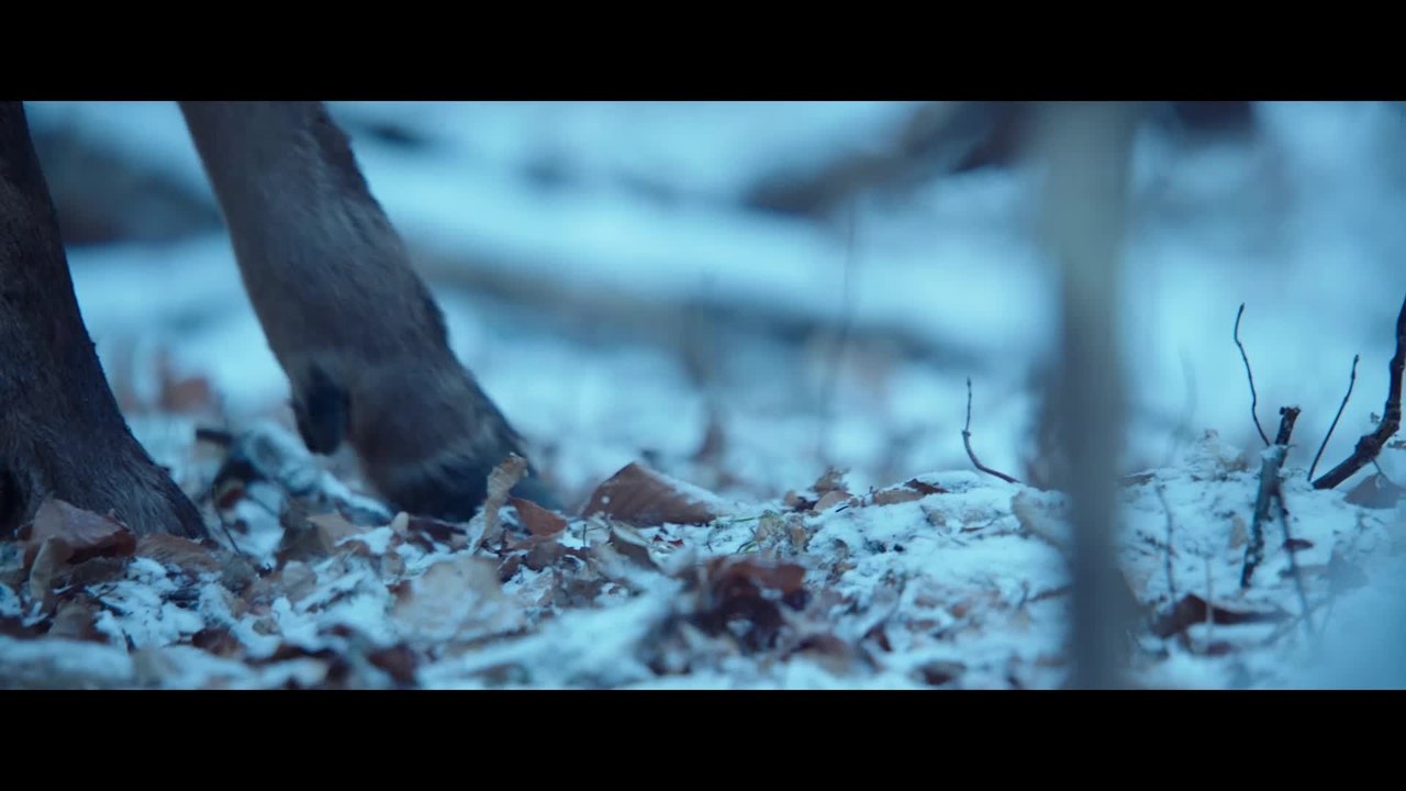 KÃ¶rper und Seele - Clip 02 (Deutsch) HD