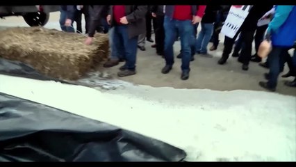 Das System Milch - Clip 08 (Deutsch) HD