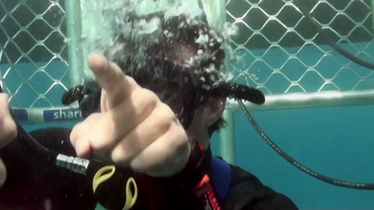Cage Dive - Clip Big Wave (English) HD