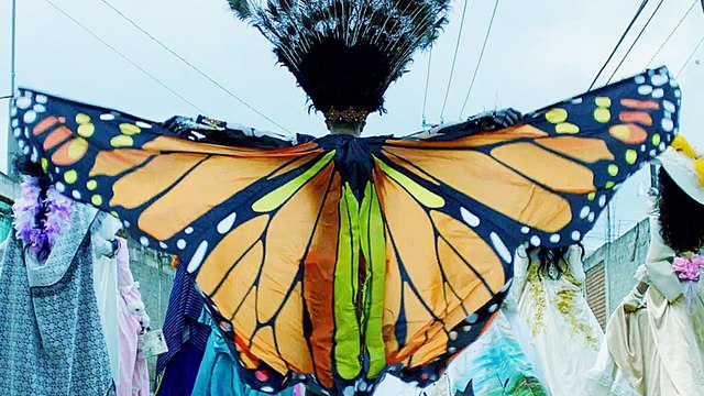 Staffel 1 von One Strange Rock - Unsere Erde