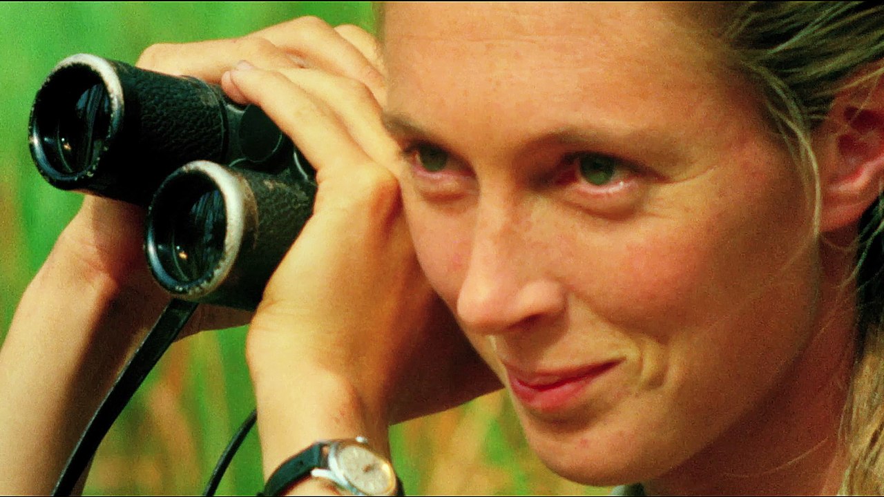 Jane - Trailer (Deutsche UT) HD