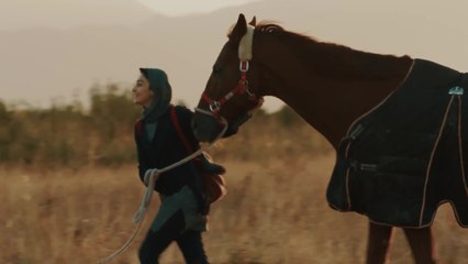 Dressage - Clip (OV) HD