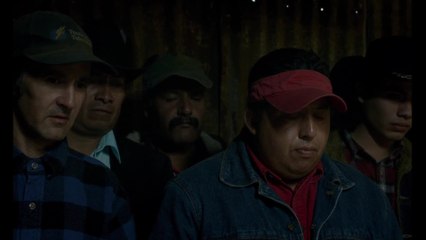 Land - Clip (OV) HD