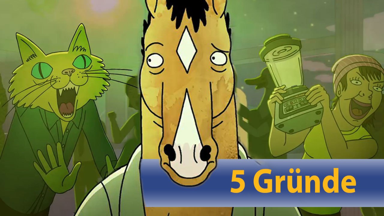 Darum solltet ihr Bojack Horseman gucken! | 5 GrÃ¼nde