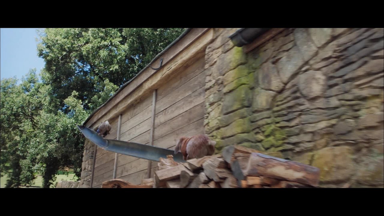 Peter Hase - Clip 3 (Deutsch) HD