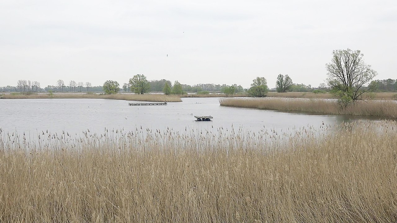 Rhinland. Fontane - Trailer (OV) HD