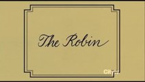 How I Met Your Mother - S08 E12 Clip The Robin (English)