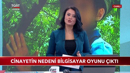 Cinayetin Nedeni Bilgisayar Oyunu Çıktı