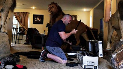 King of Beasts - Trailer (English) HD