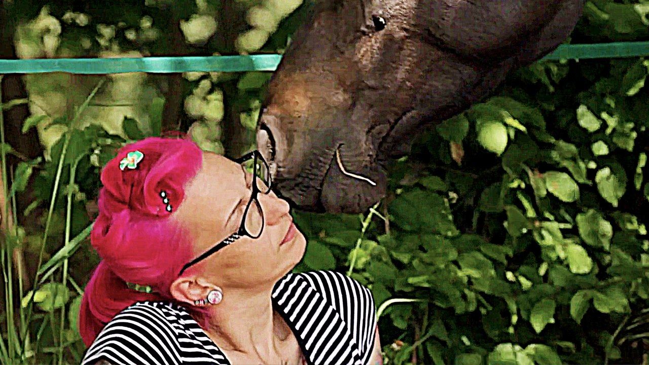 Stiller Kamerad - Trailer (Deutsch) HD