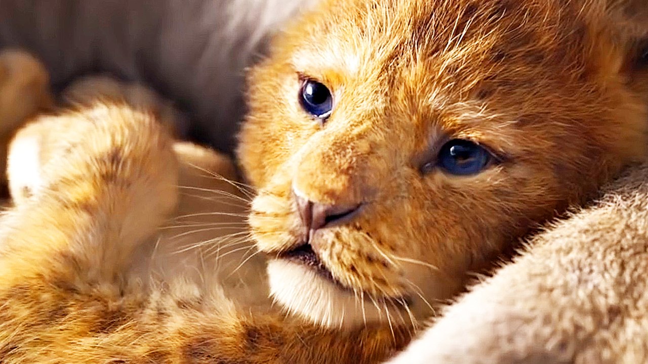 KÃ¶nig der LÃ¶wen - Teaser (Deutsch) HD